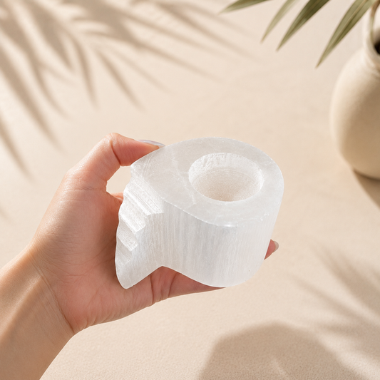 Selenito žvakidė Shell 10x7,5 cm